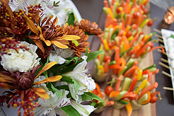 CADENCE LIVING - SOUND GENERATIONS GALA